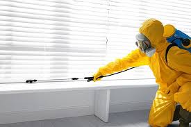 Best Termite Inspection and Treatment  in Gueydan, LA